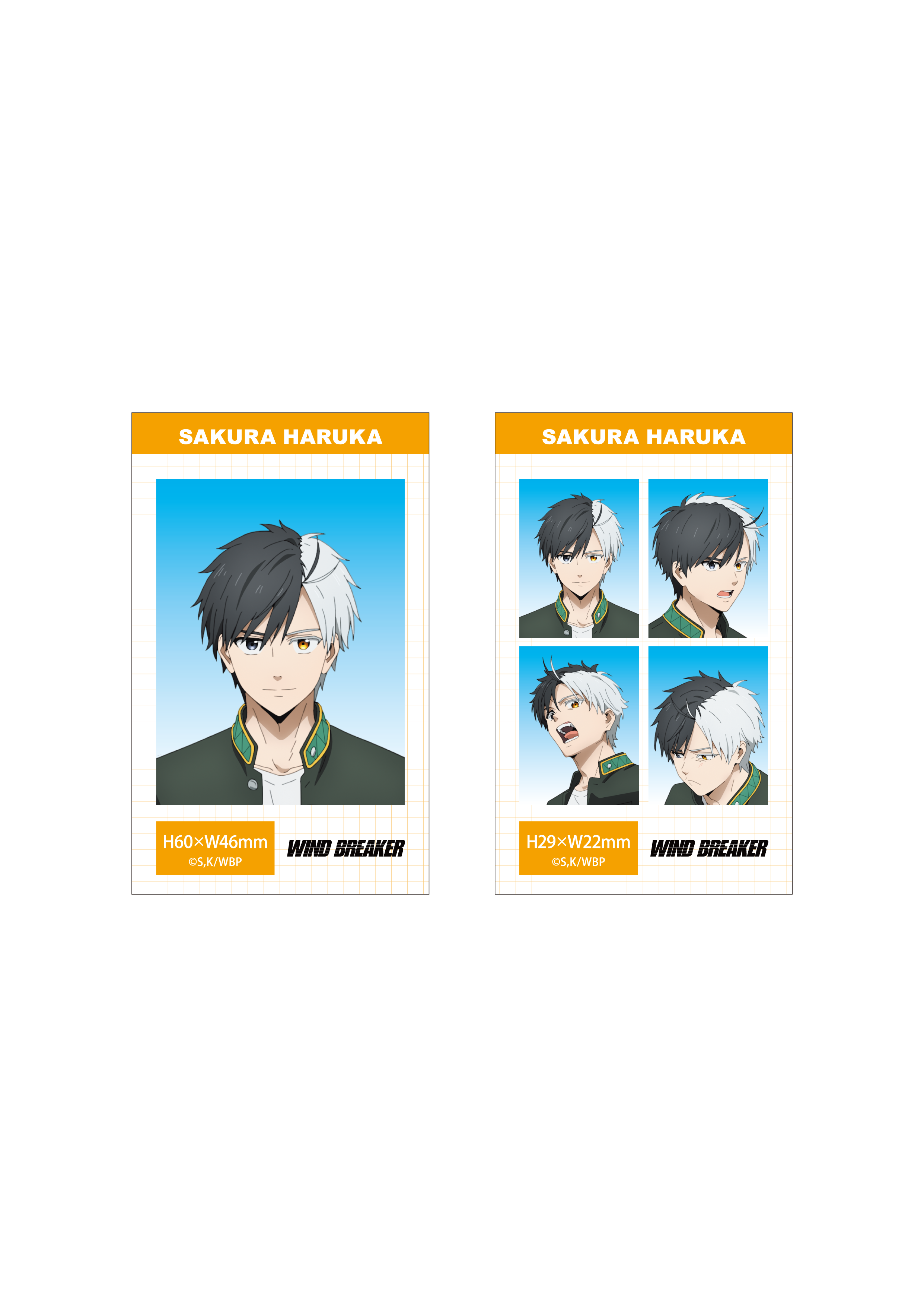 (Goods - Bromide) WIND BREAKER Season 2 ID Card Photo Style Bromide Set (Haruka Sakura)