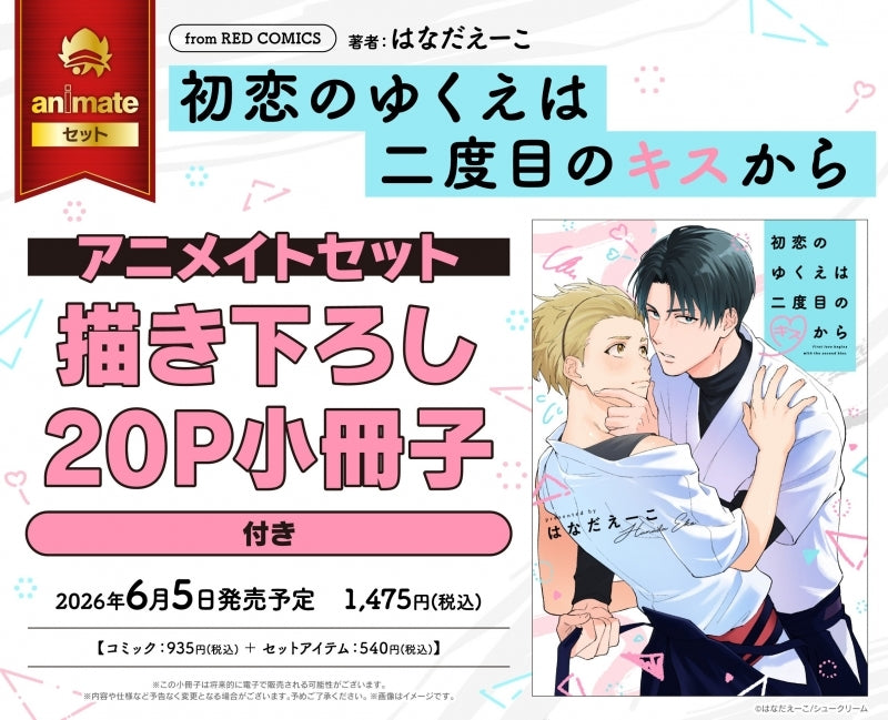 (Book - Comic) Where First Love Leads After the Second Kiss (Hatsukoi no Yukue wa Nidome no Kiss Kara)