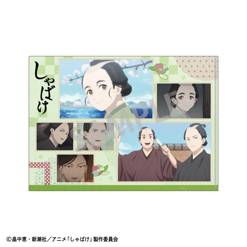 (Goods - Clear File) Shabake A4 Single Clear File Stills