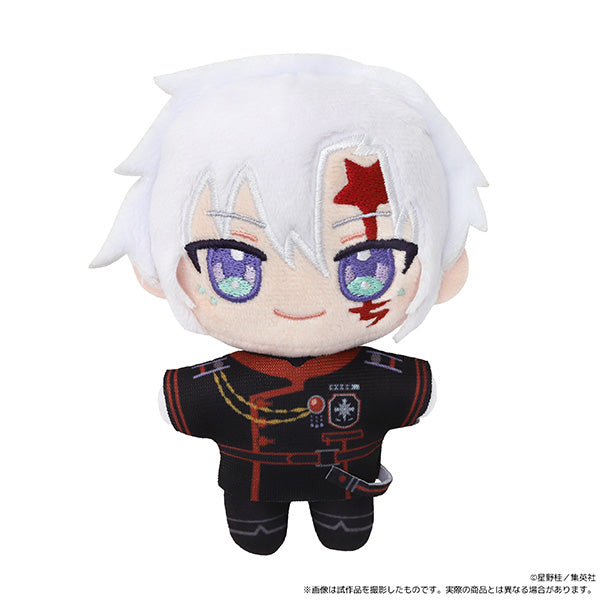 (Goods - Plush) D. Gray-man Nui Pal (Plush Mascot) Allen Walker