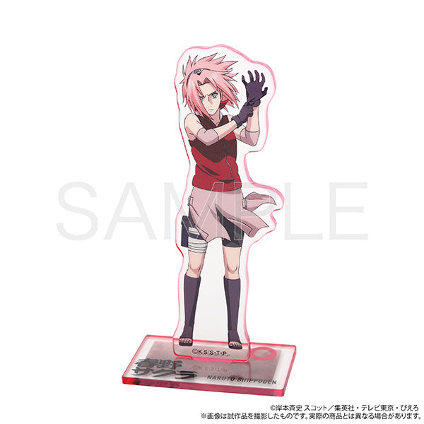 (Goods - Acrylic Stand) NARUTO Shippuden Fuchikara Stand (Acrylic Stand) / Sakura Haruno