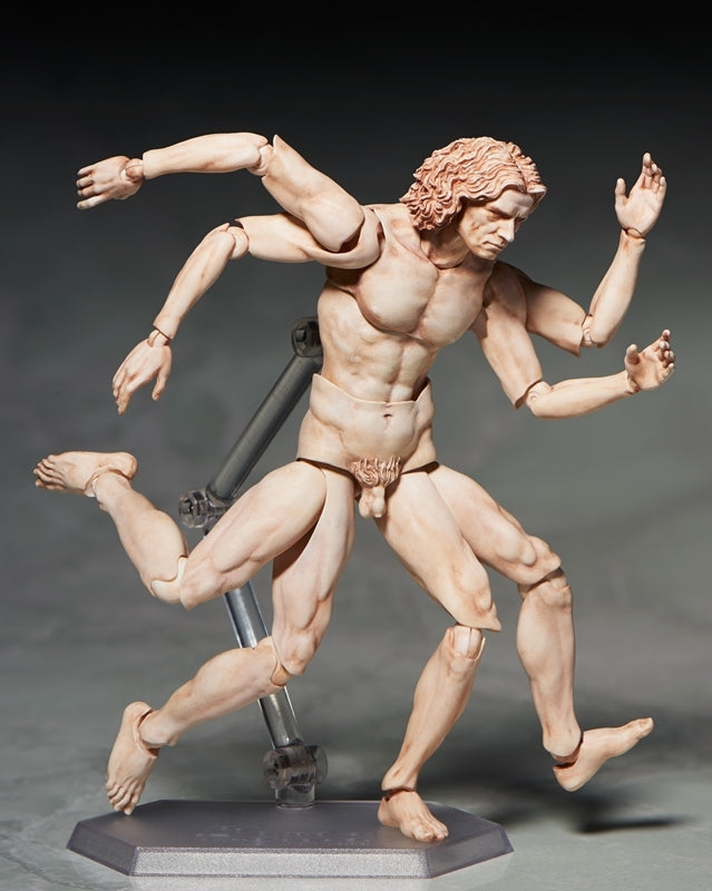 (Action Figure) figma - The Table Museum: Vitruvian Man (Re-release)