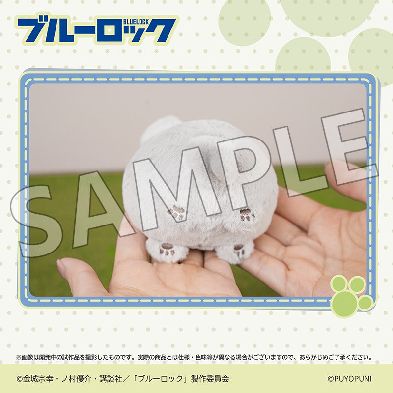 (Goods - Plush) Blue Lock Puyopuni Series - 10cm Nyanko Dango Plush Mascot Seishiro Nagi