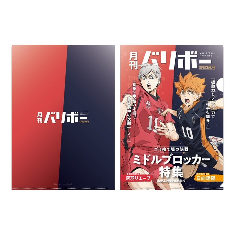 (Goods - Clear File) Haikyu!! A4 Clear File Monthly Volleyball Vol. 2 (Shoyo Hinata & Lev Haiba)