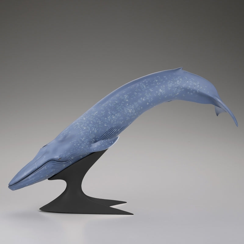 (Figure) Blue Whale National Museum of Nature and Science Permanent Exhibition (Outdoor Exhibit) Complete Figure
