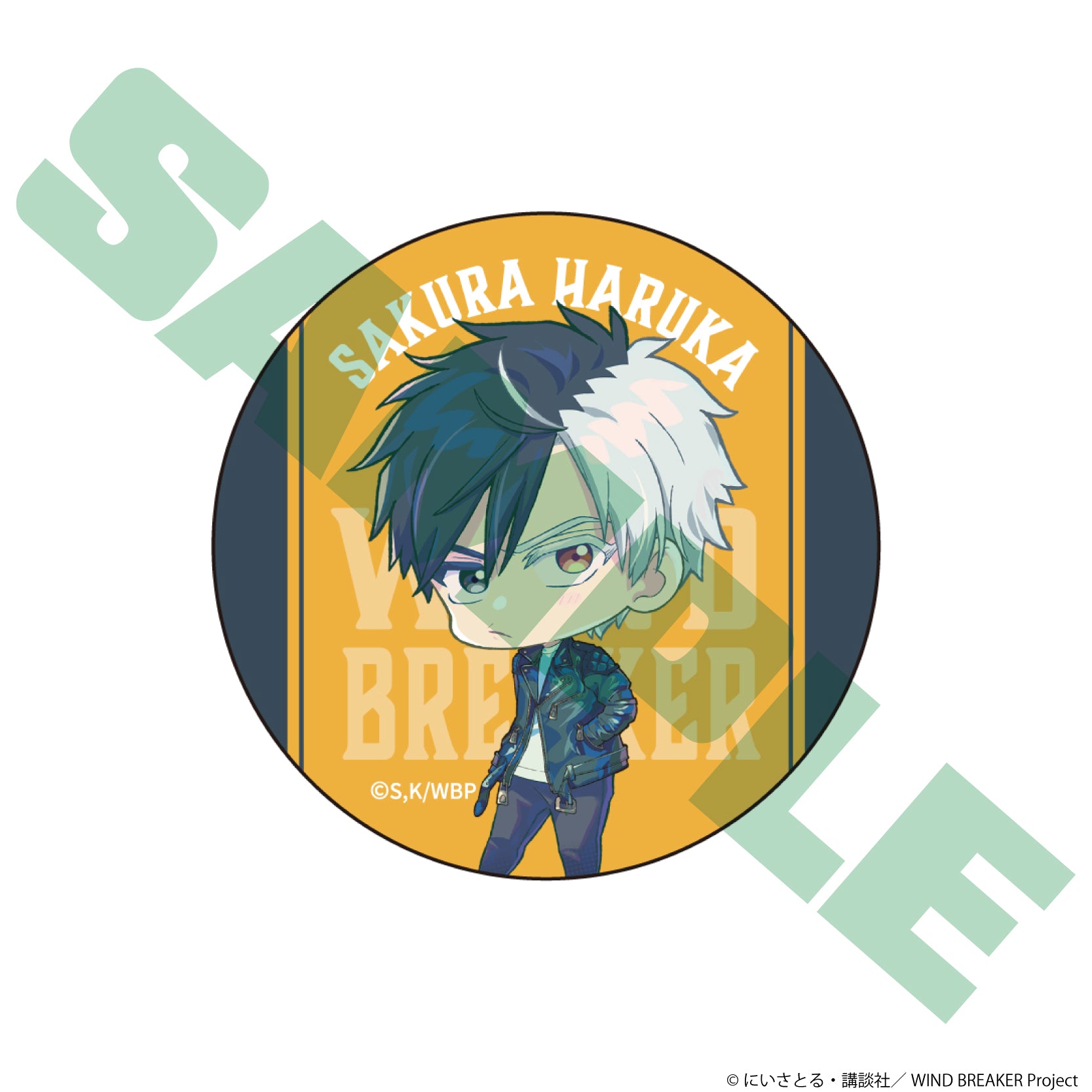 (1BOX=12)(Goods - Badge) TV Anime - WIND BREAKER Trading Button Badge