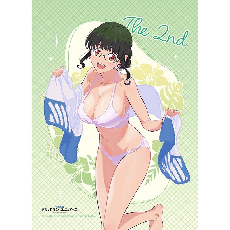 (Goods - Tapestry) Gridman Universe B2 Tapestry feat. Exclusive Art (2nd Generation/Swimsuit) Double Suede Finish
