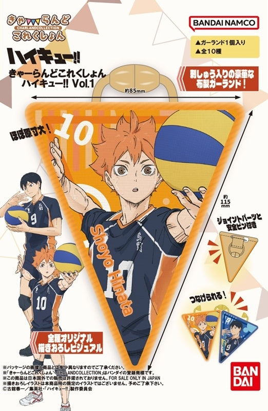 (1BOX=10)(Goods - Other) Haikyu!! Garland Collection