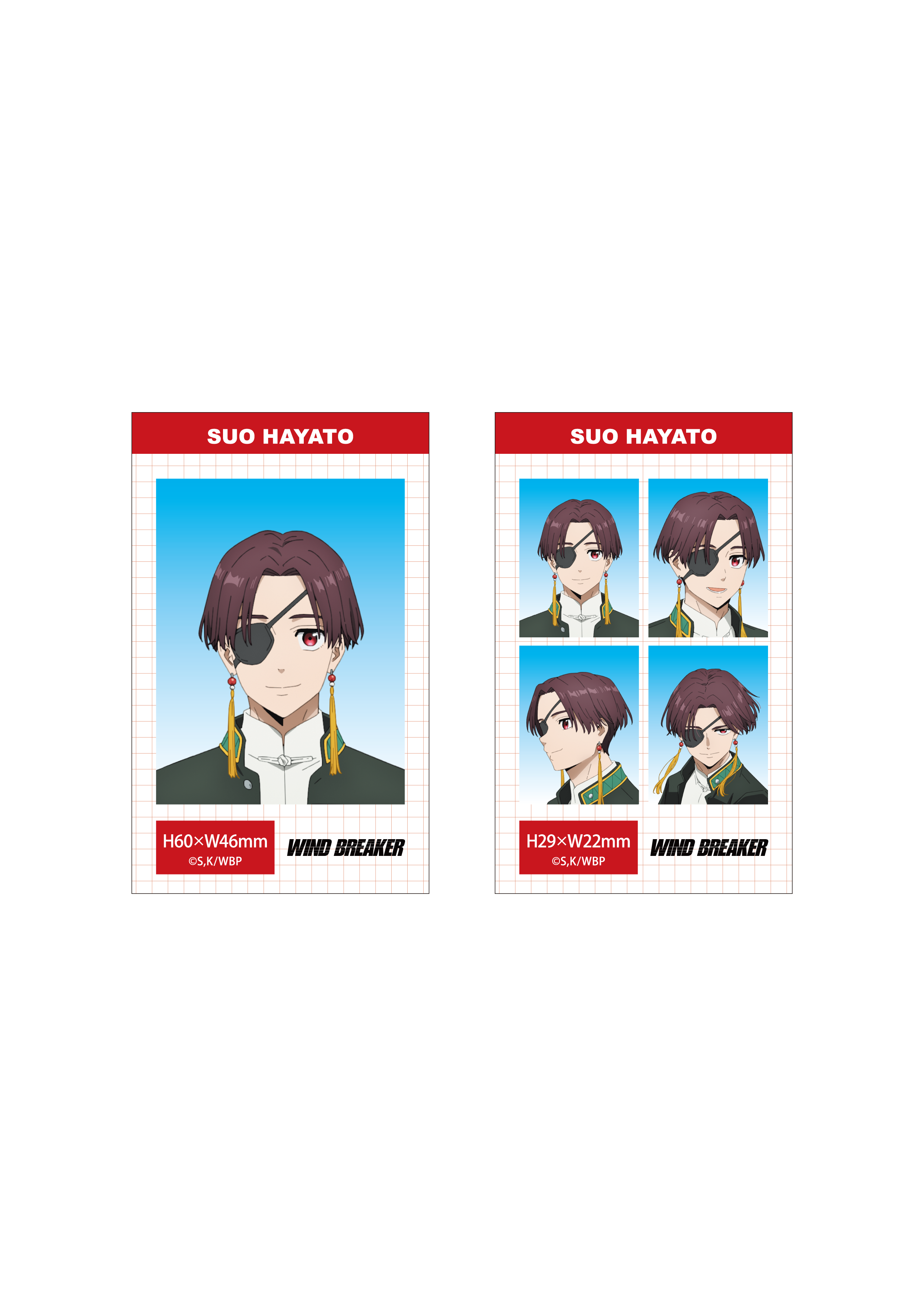 (Goods - Bromide) WIND BREAKER Season 2 ID Card Photo Style Bromide Set (Hayato Suo)