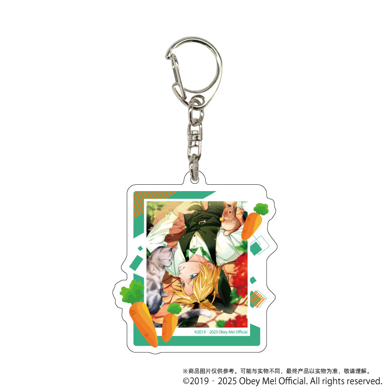 (1BOX=7)(Goods - Keychain) Acrylic Keychain 11 (Official Art)
