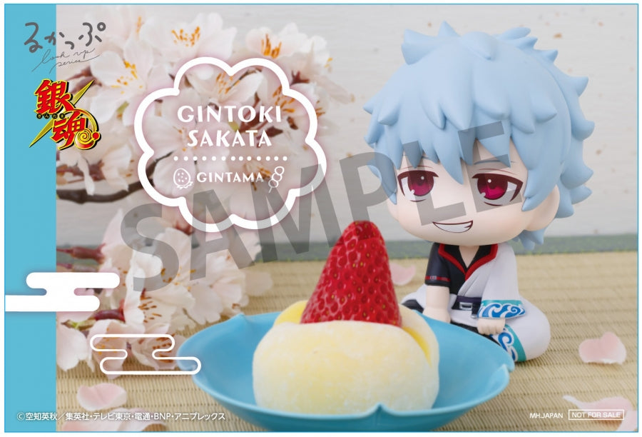 animate Bonus: Gintoki Photo Sheet