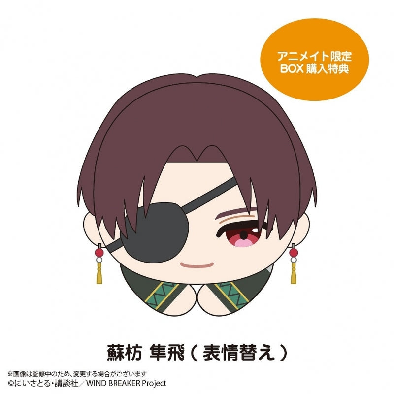 animate BOX Bonus: Hayato Suo Hug Chara (Alternate Expression)