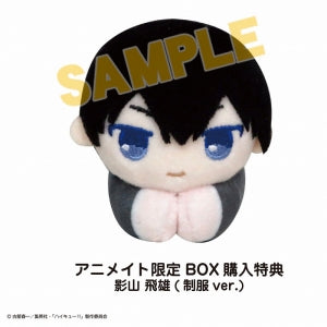 animate Bonus: BOX Bonus: Hug Chara Collection Tobio Kageyama (Uniform ver.)