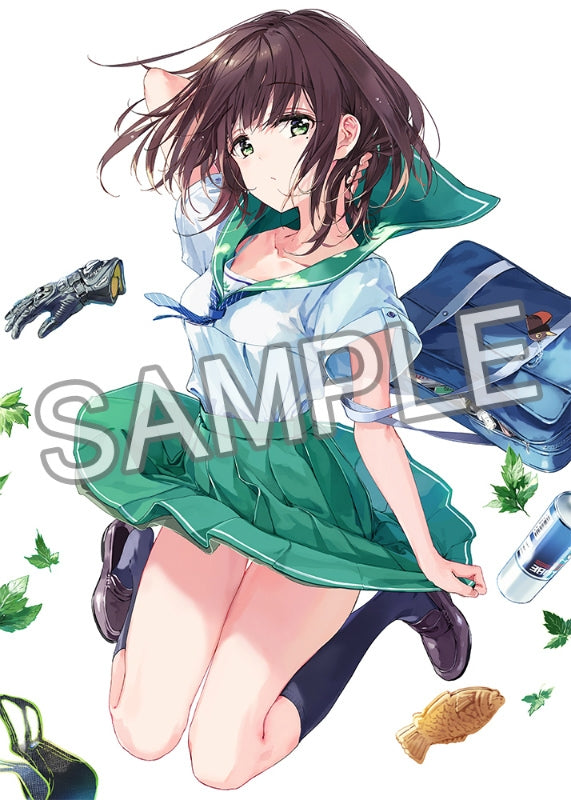 (DVD) Two Car TV Series Vol.1 Animate International