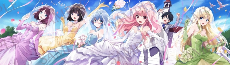 (Blu-ray) The Familiar of Zero TV Series Memorial Complete Blu-ray BOX Animate International