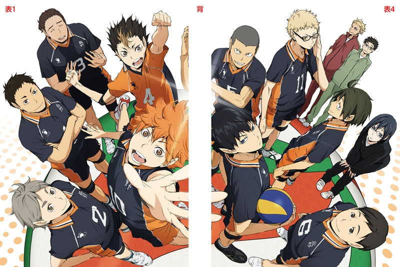 (Blu-ray) Haikyu!! TV Series Vol. 9