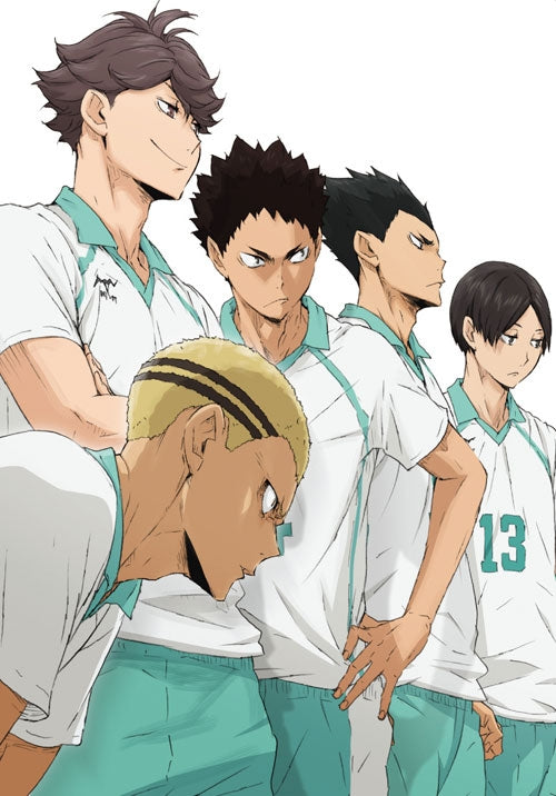 (Blu-ray) Haikyu!! TV Series Second Season Vol. 8