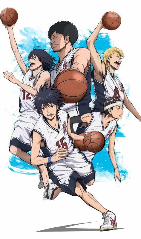 (DVD) Ahiru no Sora TV Series vol. 12 Animate International