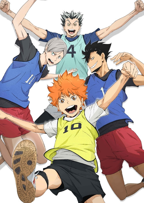 (DVD) Haikyu!! TV Series Second Season Vol. 2 Animate International