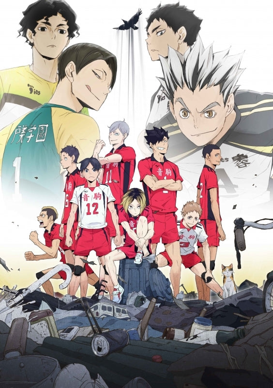 (DVD) Haikyu!!: Land vs Sky OVA Animate International