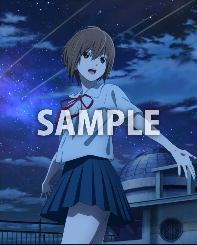 (DVD) Sagrada Reset TV Series Box 3 Animate International