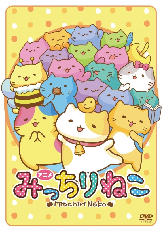(DVD) Mitchiri Neko TV Series Animate International