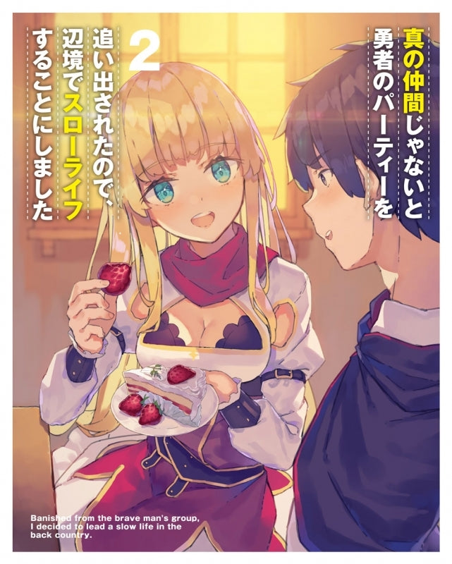 (Blu-ray) Banished from the Heroes' Party TV Series Vol. 2 - Animate International