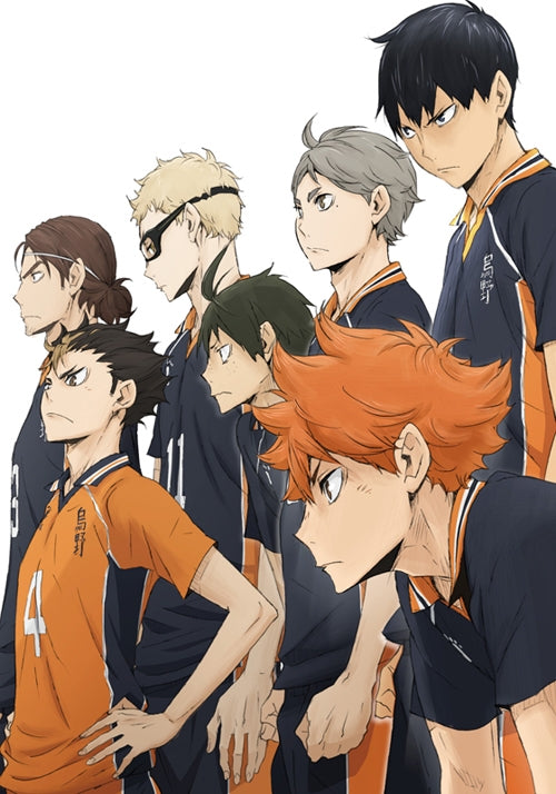 (Blu-ray) Haikyu!! TV Series Second Season Vol. 9