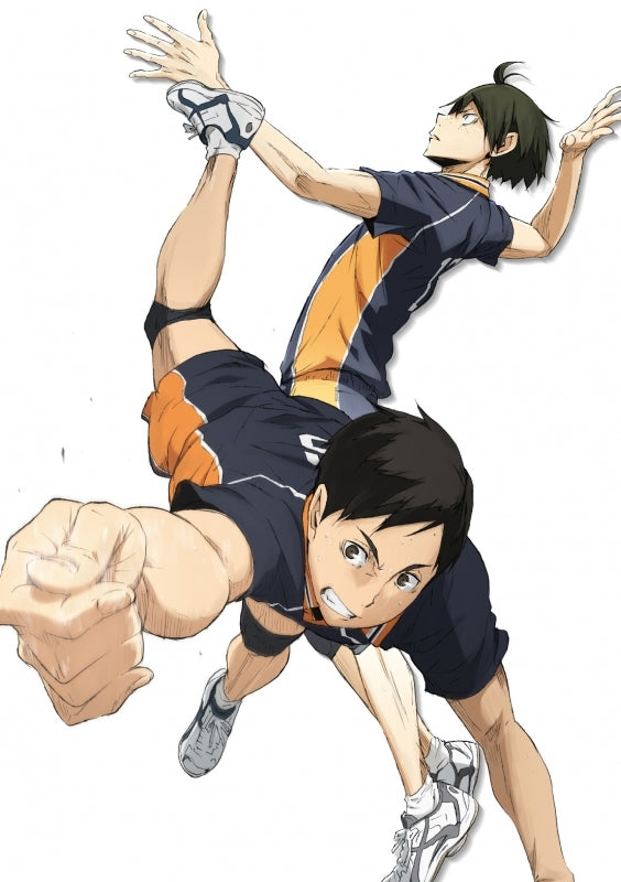 (Blu-ray) Haikyu!! TV Series Second Season Vol. 6