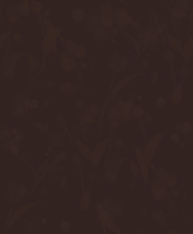 ikemen (test)