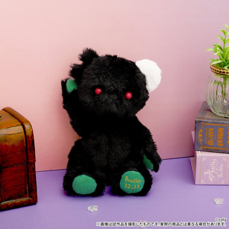 [t](Goods - Plush) Promise of Wizard Birthday Bear Bradley [animate Limited Selection]