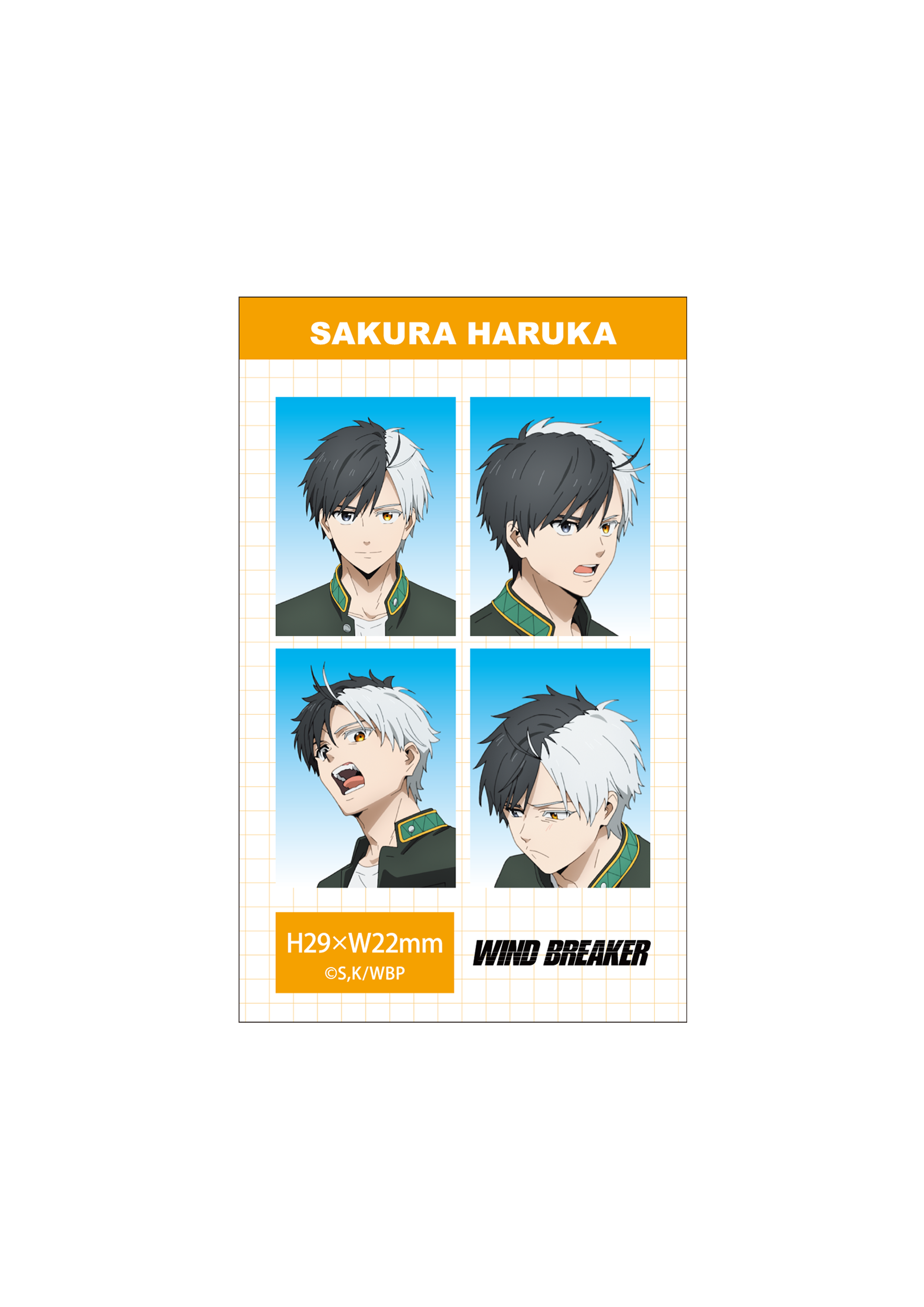 (Goods - Bromide) WIND BREAKER Season 2 ID Card Photo Style Bromide Set (Haruka Sakura)