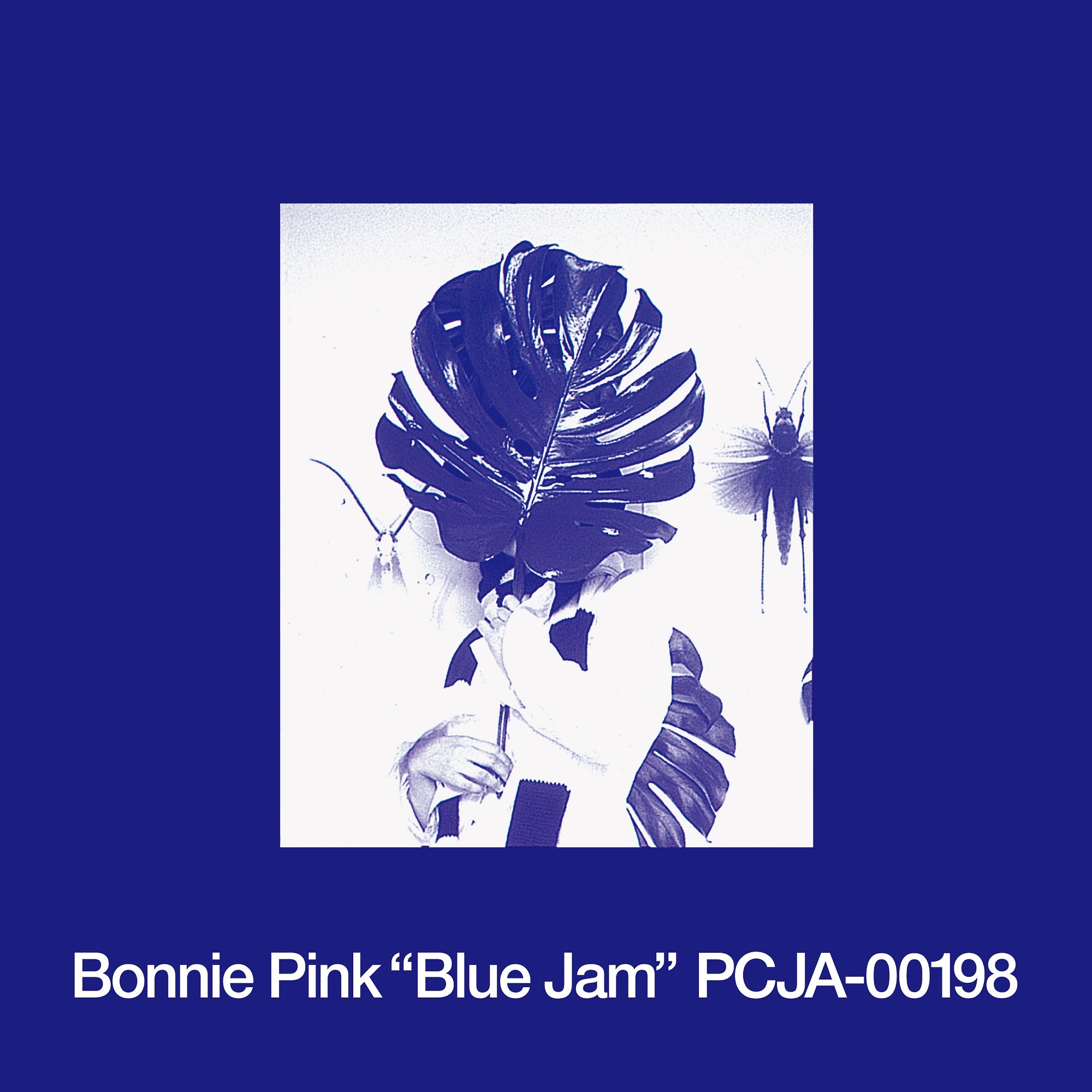[a](Music) Blue Jam (180G) by BONNIE PINK [Vinyl Record]