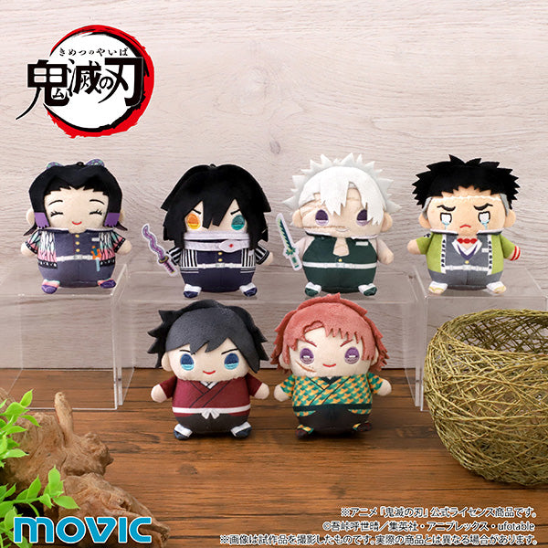 (Goods - Plush) Demon Slayer: Kimetsu no Yaiba MameMate (Plush Mascot) Vol.8 Giyu Tomioka (Child ver. )