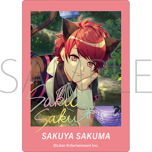 [※Blind](1BOX=10)(Goods - Bromide) A3! PashaColle Clear Ver. Vol. 5 Spring Troupe & Summer Troupe