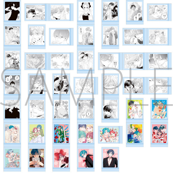 [※Blind](1BOX=10)(Goods - Bromide) It Takes More Than a Pretty Face to Fall in Love PashaColle