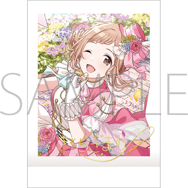 [※Blind](1BOX=10)(Goods - Bromide) THE IDOLM@STER SHINY COLORS PashaColle