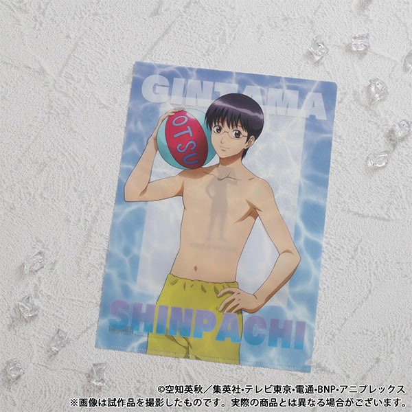 (Goods - Clear File) Gintama Clear File / Shinpachi Shimura Pool