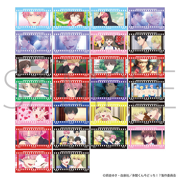 (1BOX=10)(Goods - Card) Tamon's B-Side Film Style Collection