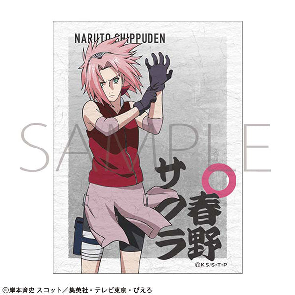 (Goods - Sticker) NARUTO Shippuden Japanese Washi Paper Sticker / Sakura Haruno
