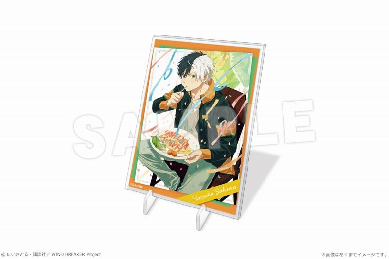(Goods - Acrylic Stand) TV Anime WIND BREAKER Panel Stand mini 01 Haruka Sakura
