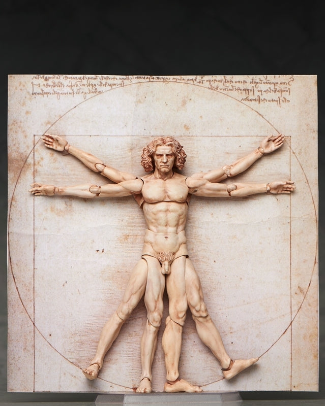 (Action Figure) figma - The Table Museum: Vitruvian Man (Re-release)