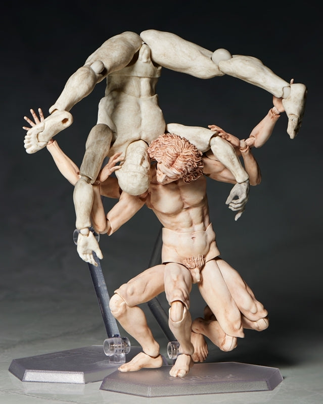 (Action Figure) figma - The Table Museum: Vitruvian Man (Re-release)