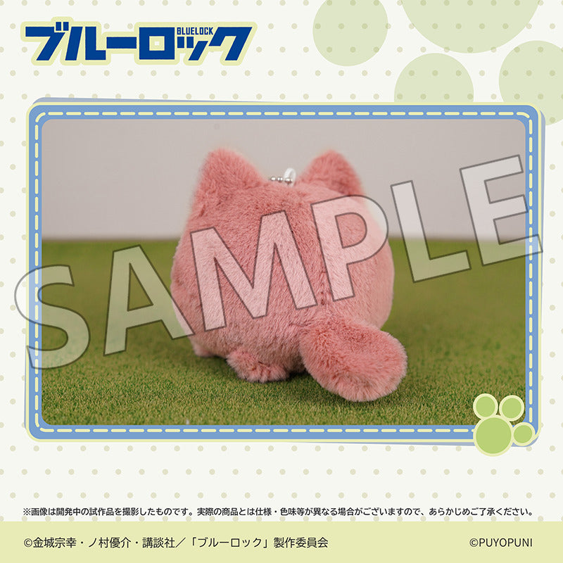 (Goods - Plush) Blue Lock Puyopuni Series - 10cm Nyanko Dango Plush Mascot Sae Itoshi