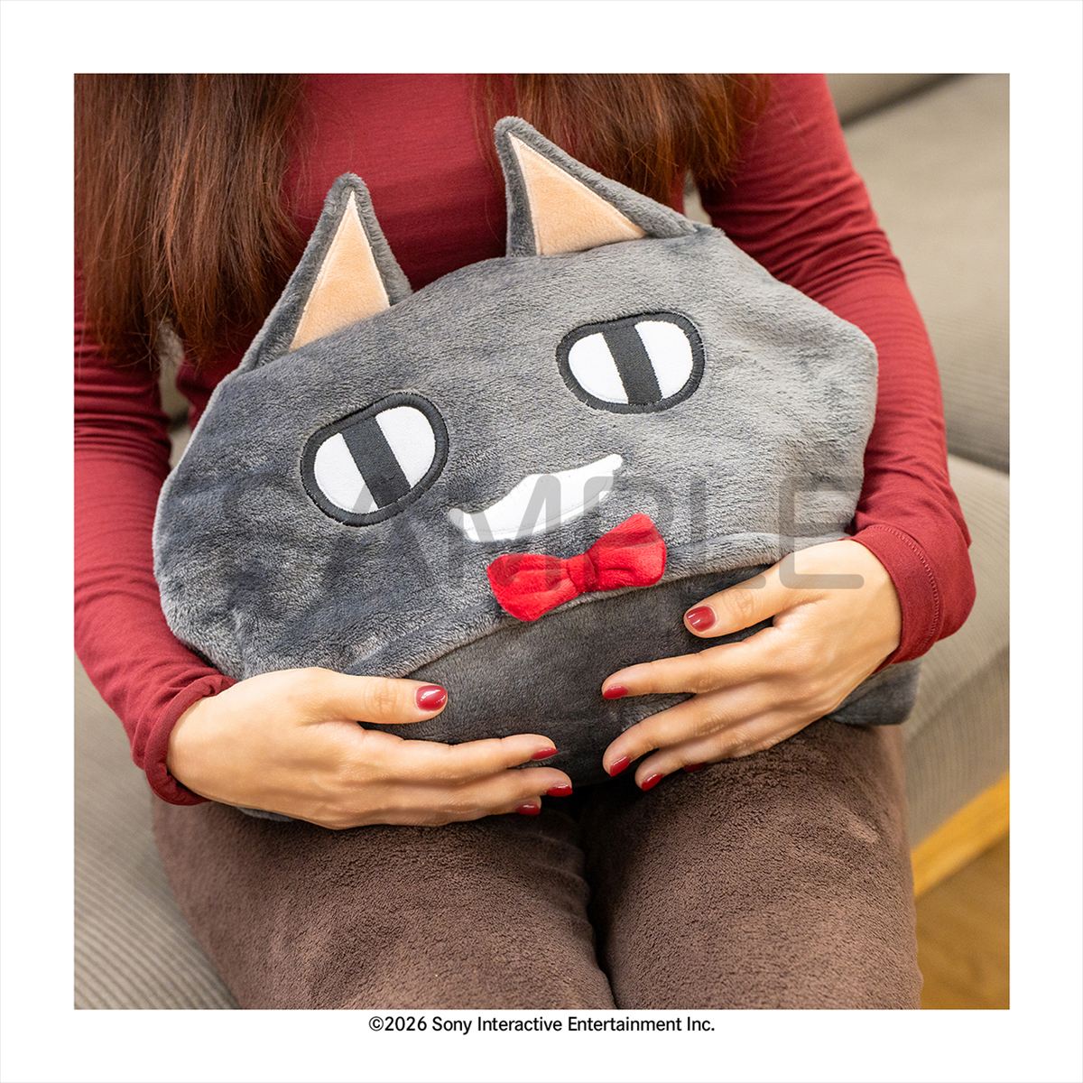 (Goods - Blanket) Toro and Friends (Doko Demo Issho) Kuro Blanket