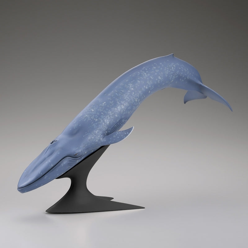 (Figure) Blue Whale National Museum of Nature and Science Permanent Exhibition (Outdoor Exhibit) Complete Figure