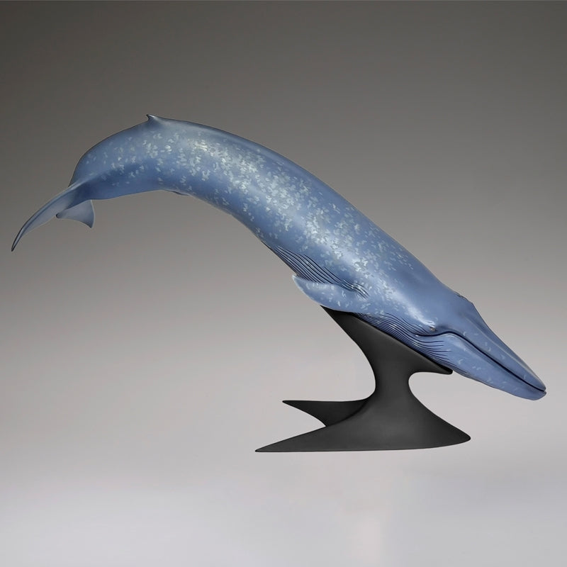 (Figure) Blue Whale National Museum of Nature and Science Permanent Exhibition (Outdoor Exhibit) Complete Figure