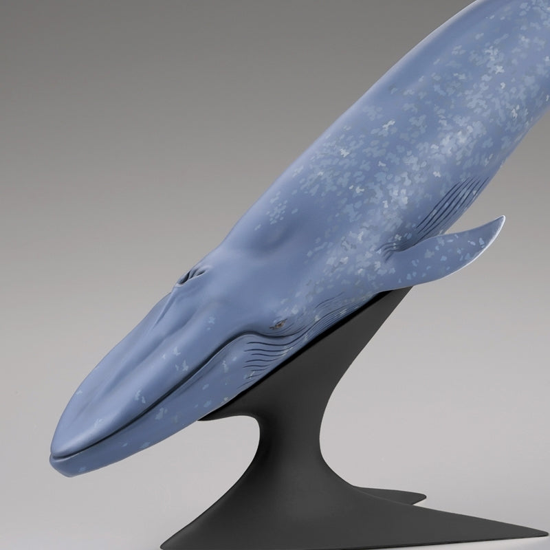 (Figure) Blue Whale National Museum of Nature and Science Permanent Exhibition (Outdoor Exhibit) Complete Figure