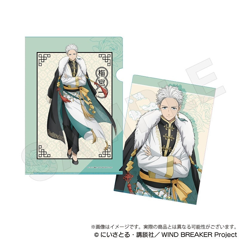 (Goods - Clear File) WIND BREAKER Clear File Five Beasts ver. Hajime Umemiya