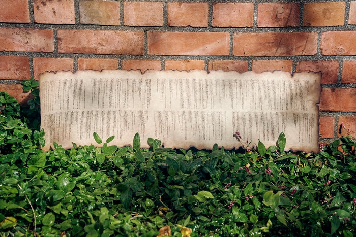 (Theme Song) Frieren: Beyond Journey's End TV Series OP: Yuusha by YOASOBI [Complete Production Run Limited Edition]